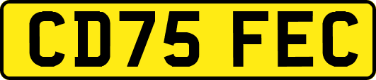 CD75FEC