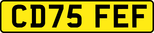 CD75FEF