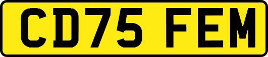 CD75FEM