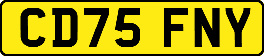 CD75FNY
