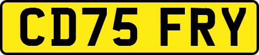CD75FRY