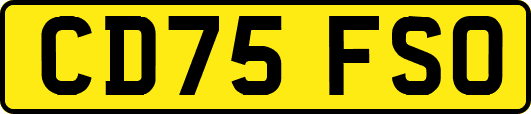 CD75FSO