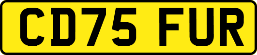 CD75FUR