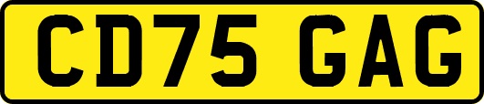 CD75GAG
