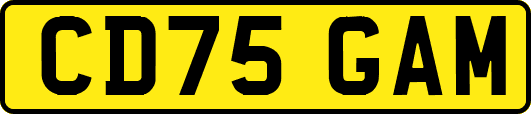 CD75GAM