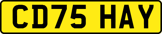 CD75HAY