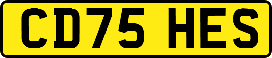CD75HES