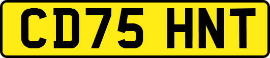 CD75HNT