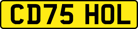 CD75HOL