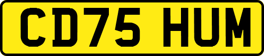 CD75HUM