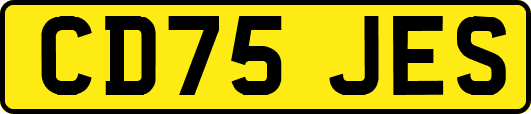 CD75JES