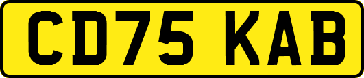 CD75KAB