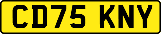 CD75KNY
