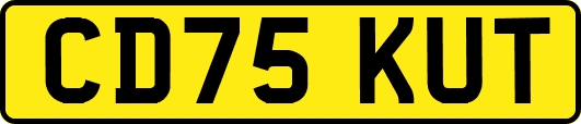CD75KUT