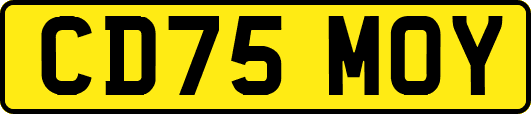 CD75MOY