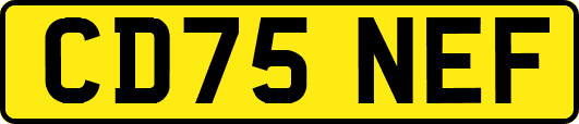 CD75NEF