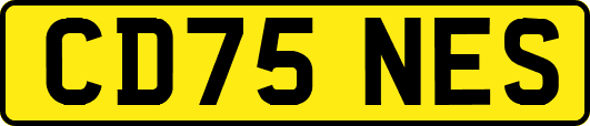CD75NES
