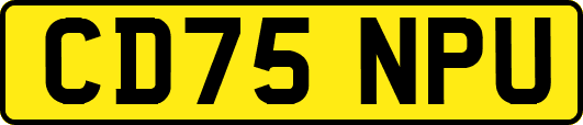 CD75NPU