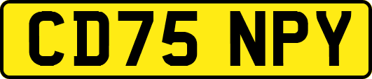CD75NPY