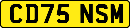 CD75NSM