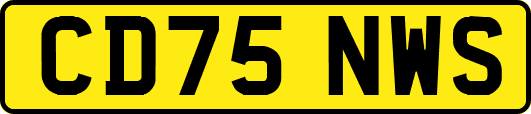 CD75NWS