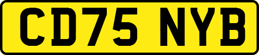CD75NYB