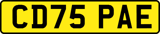 CD75PAE