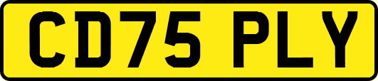 CD75PLY