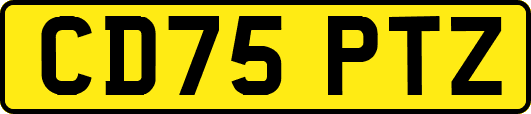 CD75PTZ