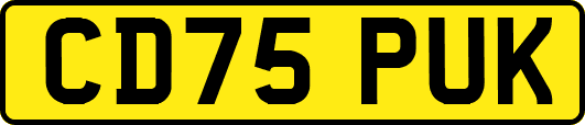 CD75PUK