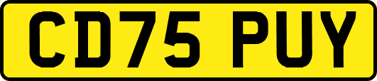 CD75PUY