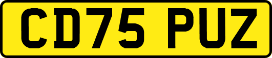 CD75PUZ