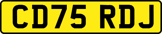 CD75RDJ