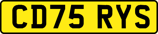 CD75RYS