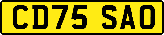 CD75SAO