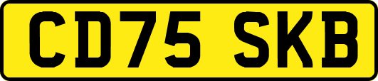 CD75SKB