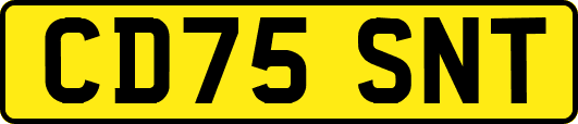 CD75SNT