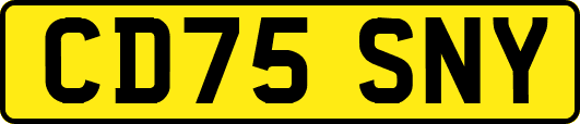 CD75SNY