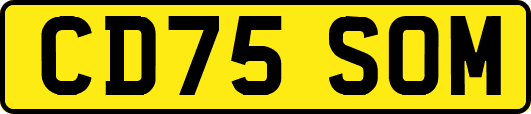 CD75SOM