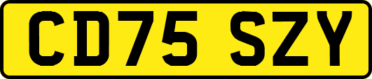 CD75SZY