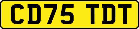 CD75TDT