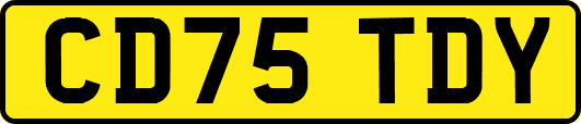 CD75TDY