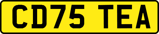 CD75TEA