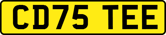 CD75TEE
