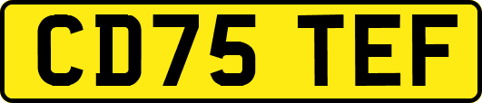 CD75TEF