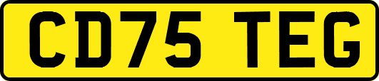 CD75TEG