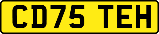 CD75TEH