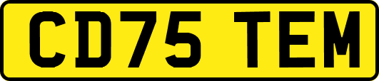 CD75TEM