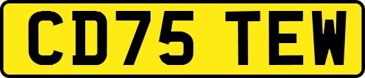 CD75TEW