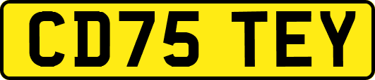 CD75TEY